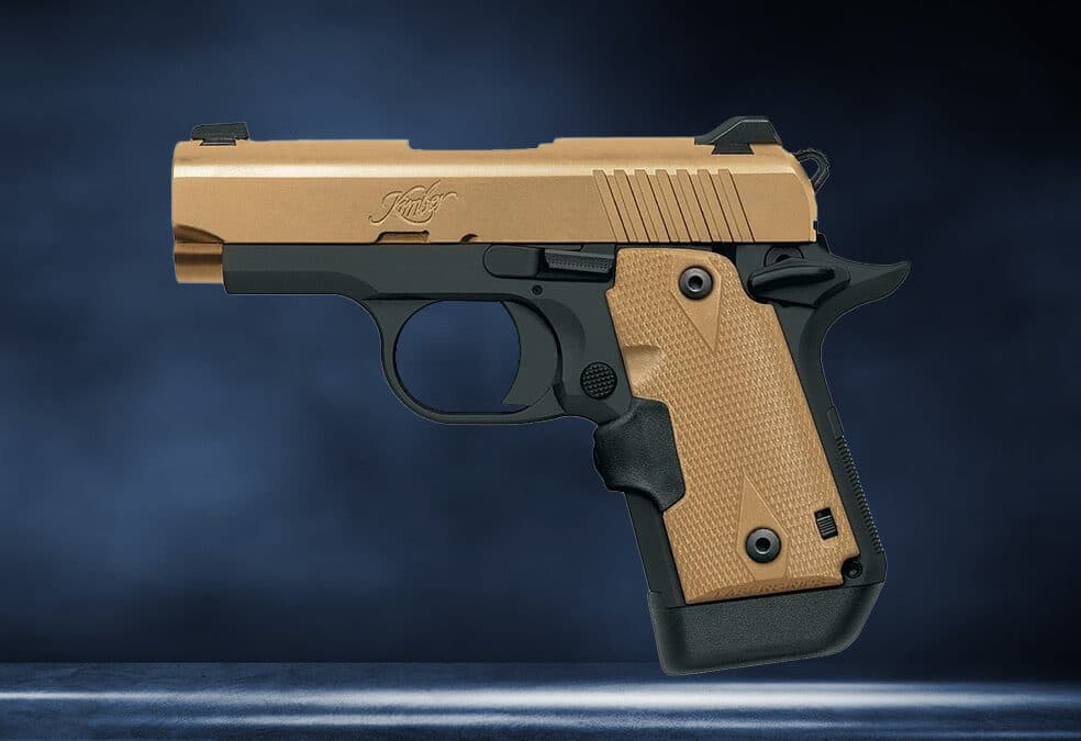 Micro 380 ACP